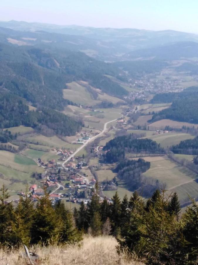 Ferienhaus Bauer Wohnung 2 Trattenbach  Eksteriør billede
