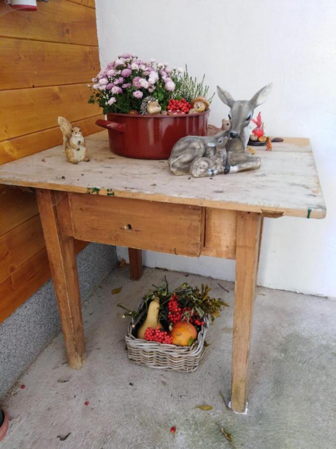 Ferienhaus Bauer Wohnung 2 Trattenbach  Eksteriør billede